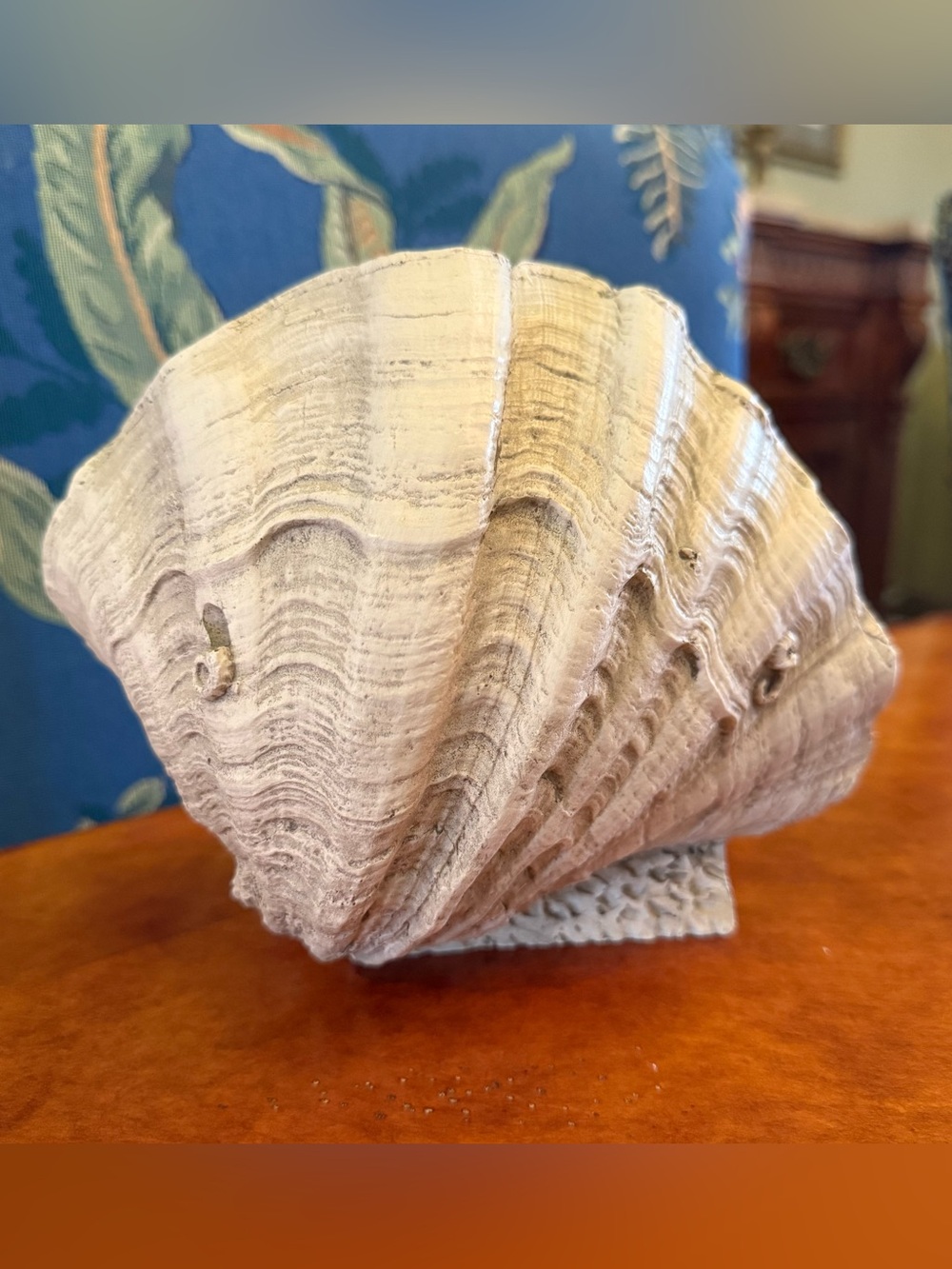 Vintage House Parts Inc. Fossil Finish Clam Shell Sculpture - Coastal Decor